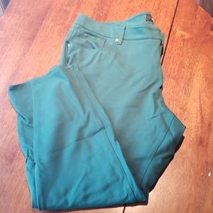 Green Torrid Skinny jeggings